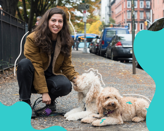 Healing Sound Sensitive Dogs – How to Help Noise-Sensitive Dogs