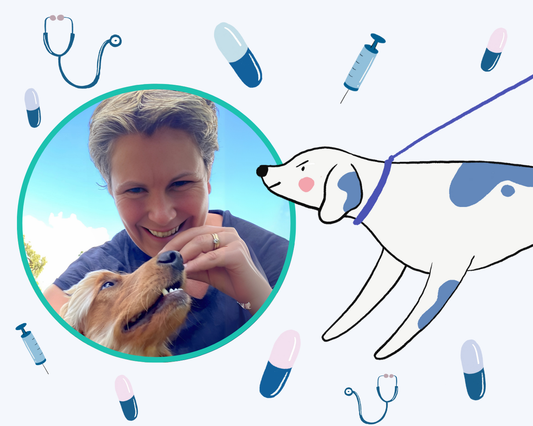 Meddling with meds in the bitey dog